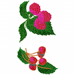 Raspberry Embroidery Design 9 Raspberry Embroidery Design 9